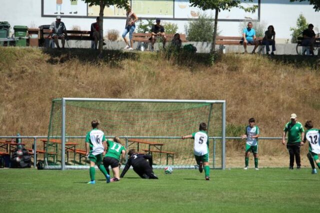 Sommercup 2026, TSV Lonnerstadt Über 350 Kinder beim Sommercup des TSV Lonnerstadt